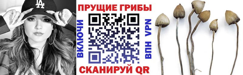 Галлюциногенные грибы мицелий  Купить закладки  Кодинск 