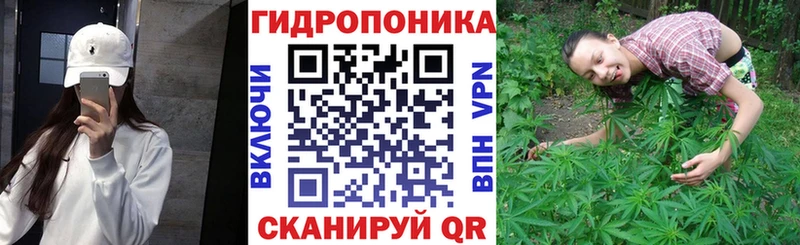 Шишки марихуана сатива Кодинск
